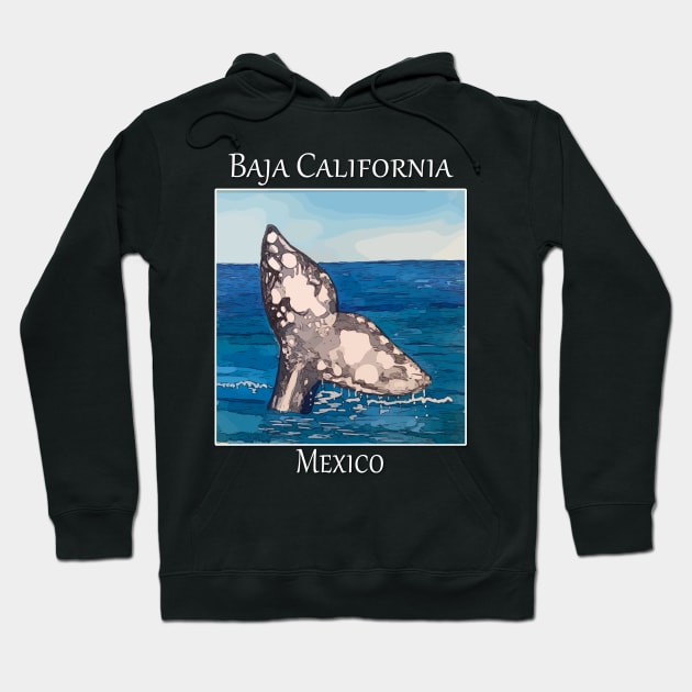 Whale Tail in Baja California Mexico Hoodie by WelshDesigns